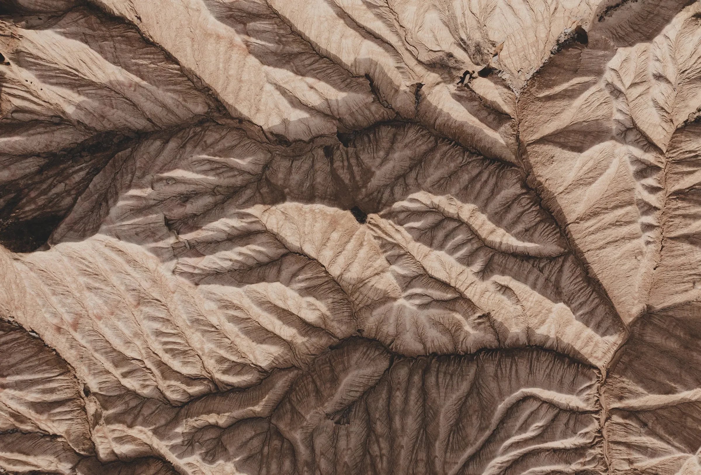 An aerial view of branching ridges in pale desert earth